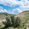 Exploring the Best Trails for Outdoor Fitness Activities in Boise, Idaho