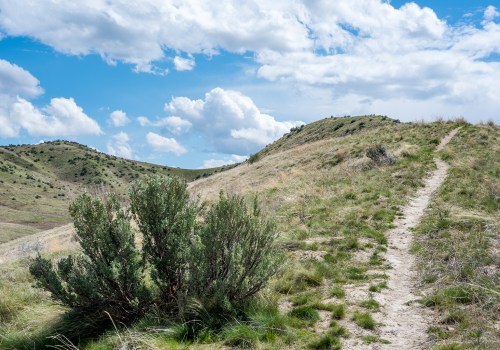 Exploring the Best Trails for Outdoor Fitness Activities in Boise, Idaho